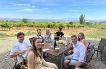 Cava and wine tasting day trip from Barcelona