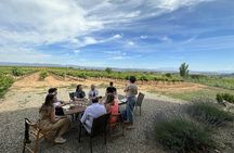 Cava and wine tasting day trip from Barcelona