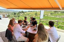 Cava and wine tasting day trip from Barcelona