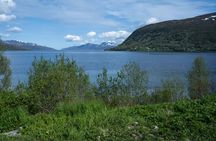 Arctic fjord guided tour from Tromsø