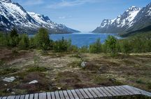 Arctic fjord guided tour from Tromsø