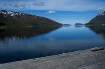 Arctic fjord guided tour from Tromsø
