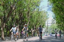 Athens guided bike tour