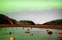 Northern Lights evening guided tour with reindeer encounter