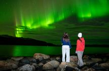 Guided Northern Lights tour from Tromsø with local experts