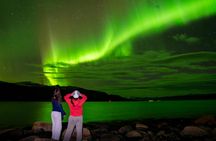 Guided Northern Lights tour from Tromsø with local experts