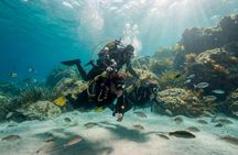 First-time Scuba Diving Experience by Boat in Mallorca