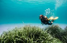 First-time Scuba Diving Experience by Boat in Mallorca