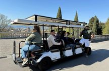 Florence highlights golf cart experience with audioguide