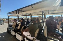 Electric golf cart experience along Arno River with audioguide