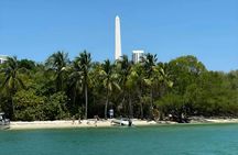 Snorkelling adventure off a secluded island from South Beach