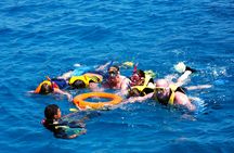 Sunset family cruise to Ras Mohammed National Park with refreshments