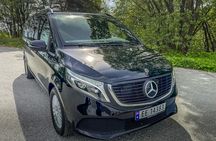 Private transfer from Bergen to Flåm