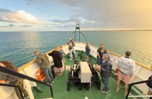Disco sunset cruise