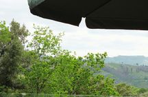 Peneda-Gerês 4x4 tour with wine tasting experience