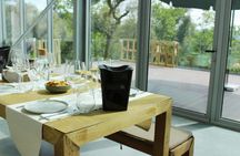 Vinho Verde vineyard and wine tasting experience