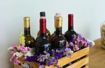 Vinho Verde vineyard and wine tasting experience