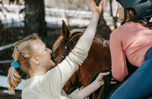 Serra da Cabreira horseback experience with Garrano horses