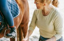 Serra da Cabreira horseback experience with Garrano horses