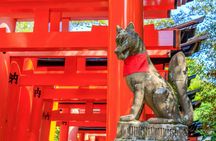 Full-Day Guided Tour of Kansai's Top Attractions