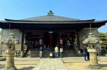 Kyoto Chion-ji Temple and Ine Boat Houses One-Day Tour
