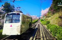 Kyoto Chion-ji Temple and Ine Boat Houses One-Day Tour