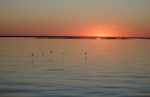 Ria Formosa Natural Park sunset tour