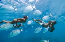 Lobos island ferry and snorkeling experience from Corralejo