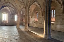 Combined entrance tickets for Palais des Papes and Pont d'Avignon