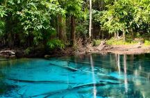 Full day small group jungle tour in Krabi's rainforest with lunch