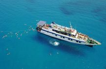 Odyssey boat safari