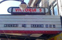 Neighborhoods of New York tour: Brooklyn, Bronx, Harlem, Queens and Coney Island