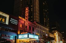 Neighborhoods of New York tour: Brooklyn, Bronx, Harlem, Queens and Coney Island