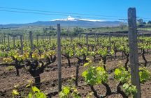 Private Castiglione, Alcantara Gorges and wine tasting tour