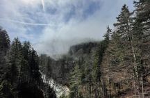 Neuschwanstein Castle guided tour with skip-the-line ticket
