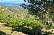 Visit to a Myrtle Production Lab with Tasting in Olbia Countryside