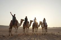 Sand Buggy Evening Experience with Dinner and Show in Hurghada Desert