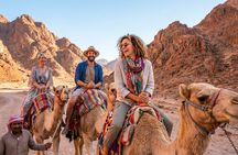 Sand Buggy Evening Experience with Dinner and Show in Hurghada Desert