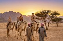 Sand Buggy Evening Experience with Dinner and Show in Hurghada Desert