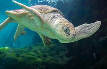 Tickets to ZooQuarium in Tampa