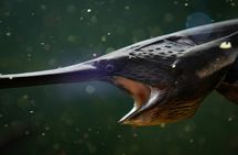 Tickets to ZooQuarium in Tampa