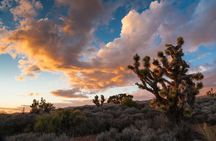 Stargazing tour at Lovell Canyon from Las Vegas