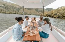 Private 1-hour Douro River solar boat cruise with wine tasting