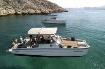 Half-day tour in the Calanques on eco-friendly hybrid electric boat