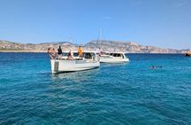 Eco-friendly hybrid electric boat tour in the Calanques