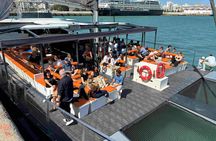 Cádiz nautical tour with fish market visit and catamaran sail
