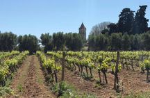 Boat trip to Saint-Honorat Island from Nice