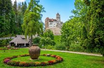 Libearty Bear Sanctuary and Bran Castle private full-day tour