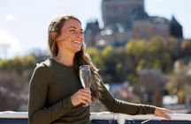 Guided river cruise tour in Quebec with lunch