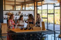 Ribera del Duero full-day wine Tour from Madrid